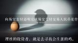 向易宝支付还呗完成易宝支付交易人民币是什么意思,易宝支付付款过程中，为何会提示“该笔交易存在安全隐患，交易被拒绝”？