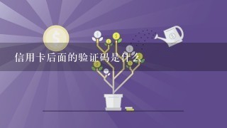 信用卡后面的验证码是什么