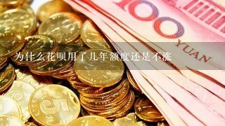 为什么花呗用了几年额度还是不涨