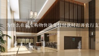 为什么在淘宝购物快捷支付付款时打开农行支付页面时