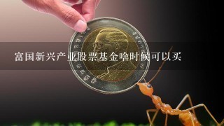 富国新兴产业股票基金啥时候可以买