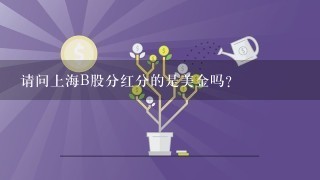 请问上海B股分红分的是美金吗?