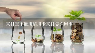 支付宝不能用信用卡支付怎么回事