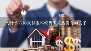 为什么我的支付宝蚂蚁借呗突然没有额度了