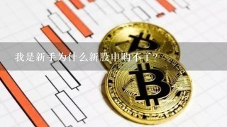 我是新手为什么新股申购不了？