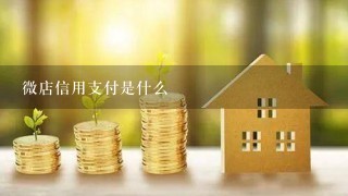 微店信用支付是什么