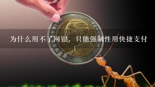 为什么用不了网银，只能强制性用快捷支付