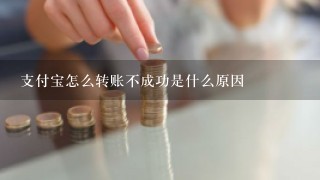 支付宝怎么转账不成功是什么原因