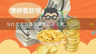 为什么主力资金流出股价上涨