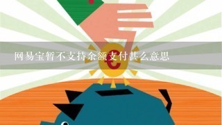 网易宝暂不支持余额支付甚么意思