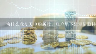 为什么我今天申购新股，账户里不显示新股持有数量了？