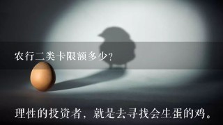 农行二类卡限额多少？