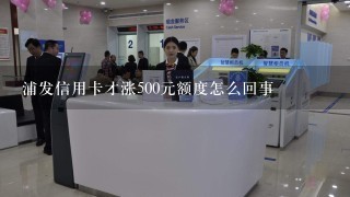 浦发信用卡才涨500元额度怎么回事