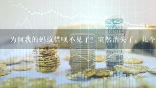 为何我的蚂蚁借呗不见了？突然消失了，几个意思呢？