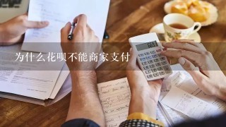 为什么花呗不能商家支付