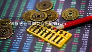 小额贷款公司加盟真的能赚钱吗