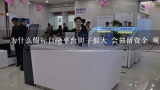 为什么假标自融平台胆子很大 会截留资金 观望政策！