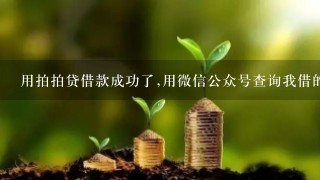 用拍拍贷借款成功了,用微信公众号查询我借的款还提