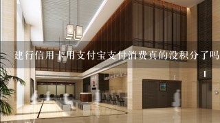 建行信用卡用支付宝支付消费真的没积分了吗？