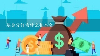 基金分红为什么扣本金