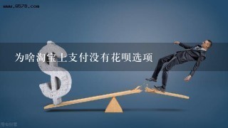 为啥淘宝上支付没有花呗选项