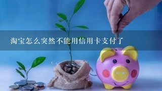 淘宝怎么突然不能用信用卡支付了