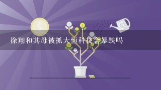 徐翔和其母被抓大恒科技会暴跌吗