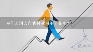 为什么别人向我付款用不了花呗？