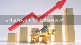 支付宝蚂蚁借呗为什么被突然关闭？