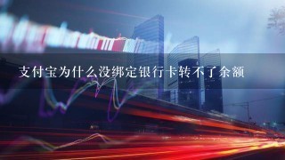 支付宝为什么没绑定银行卡转不了余额