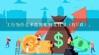 工行为什么不能转账到支付宝（有U盾）。