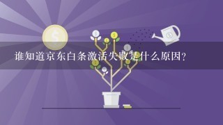 谁知道京东白条激活失败是什么原因？