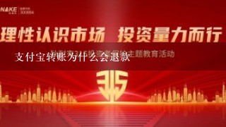 支付宝转账为什么会退款