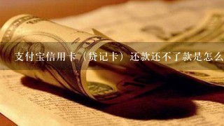 支付宝信用卡（贷记卡）还款还不了款是怎么回事？