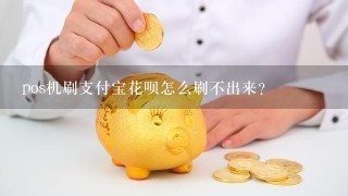 pos机刷支付宝花呗怎么刷不出来？