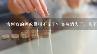 为何我的蚂蚁借呗不见了？突然消失了，几个意思呢？