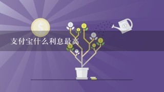 支付宝什么利息最高