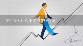 支付宝为什么不能用花呗付款