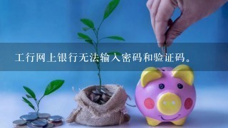 工行网上银行无法输入密码和验证码。