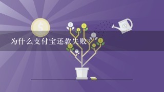 为什么支付宝还款失败？