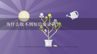 为什么收不到短信验证码？