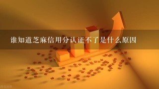 谁知道芝麻信用分认证不了是什么原因