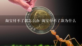 淘宝付不了款怎么办 淘宝付不了款为什么