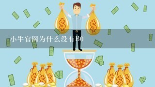 小牛官网为什么没有B0