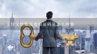 支付宝转账需要验证码是怎么回事