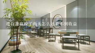 建行速赢投了两天怎么还看不到收益