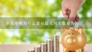 新股申购为什么显示最大可买数量为0？