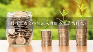 一只股票资金持续流入股价不涨是为什么？