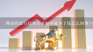 刚办的农行信用卡不知不觉少了钱怎么回事???