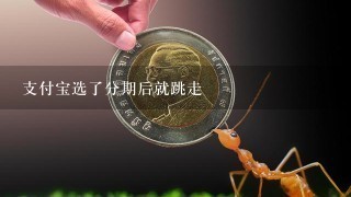 支付宝选了分期后就跳走